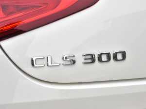 2021Ŀ CLS 300 A (ji)^