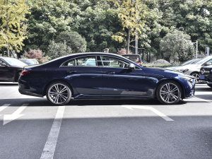 2021Ŀ CLS 300 (dng) (c)ң