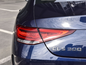 2021Ŀ CLS 300 (dng) (x)(ji)^