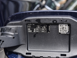 2021Ŀ CLS 300 (dng) (x)(ji)^