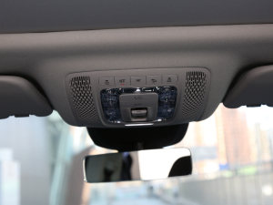 2021GLE 450 4MATIC Ӹ g