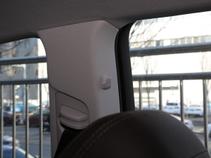 2021GLE 450 4MATIC Ӹ g