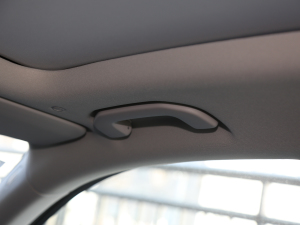 2021GLE 450 4MATIC Ӹ g