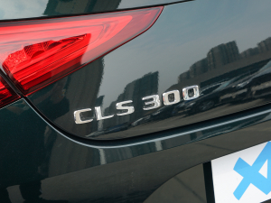 2022CLS 300 A ^