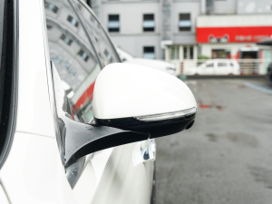 2022Ŀ S 450 L 4MATIC ^