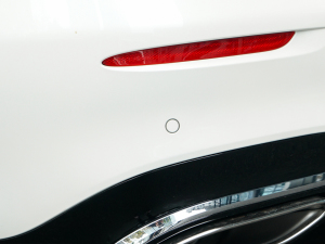 2022Ŀ S 450 L 4MATIC ^