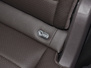 2022GLE 450 4MATIC A g