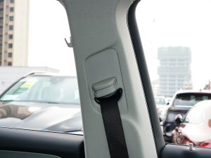 2022GLE 450 4MATIC Ӹ g