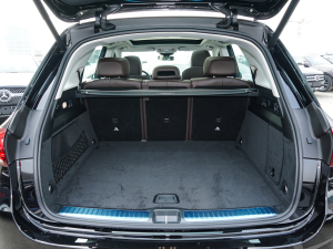 2022GLE 450 4MATIC Ӹ g