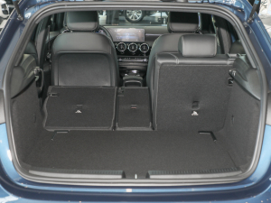 2022Ŀ A 200 (dng) g