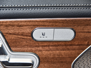 2022GLS 450 4MATIC A g