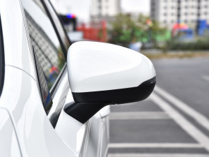 2023A(y) 200 (dng) (x)(ji)^