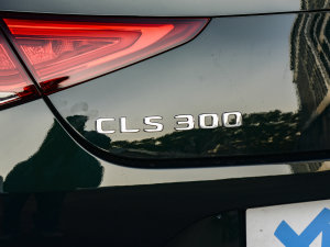 2023款CLS 300 豪华型 细节外观