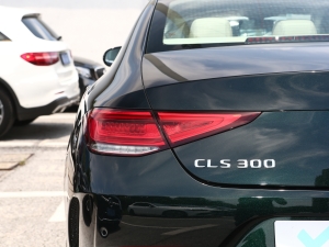 2023Ŀ CLS 300 (dng) (x)(ji)^