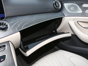 2023Ŀ CLS 300 (dng) 