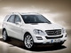 2010���ML��ML 350������ Grand Edition�������
