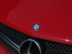 2011SL 300 Grand Edition (x)(ji)^