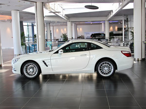 2013SL 350 r(sh) (c)