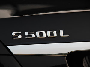 2014S 500L (x)(ji)^