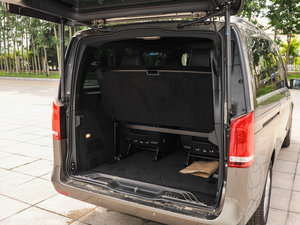 2016��V 250 BlueTEC ���g����