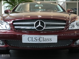 2009款CLS 300 中网