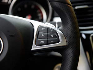 2015GLE 450 AMG 4MATIC п؅^(q)