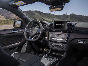 2015GLE 450 AMG 4MATIC п؅^(q)