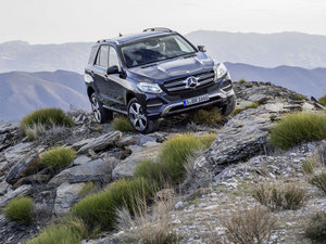 2016GLE 250d 4MATIC w^