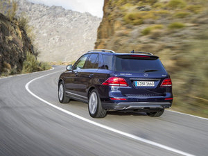 2016GLE 250d 4MATIC w^