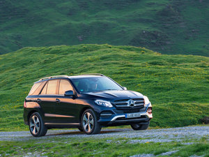 2016GLE 250d 4MATIC w^