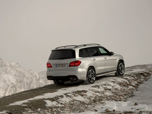 2016GLS 500 4MATIC w^