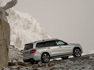 2016GLS 500 4MATIC w^