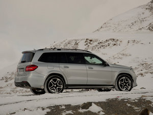 2016GLS 500 4MATIC w^