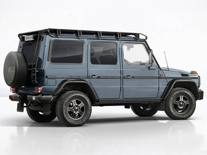 2017Limited Edition w^