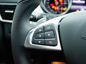 2017GLE 450 AMG 4MATIC п؅^(q)