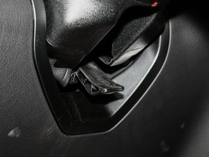 2017GLE 320 4MATIC g