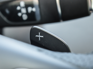 2017GLE 320 4MATIC п؅^