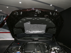2019款S 320 L 其它