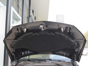 2018GLS 400 4MATIC (dng) 