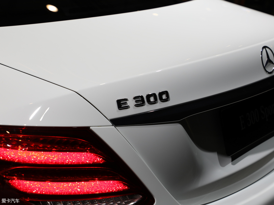 2019YE(M) E 300 \Ӱ