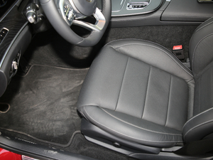 2020E 300 \(yn)(dng) g