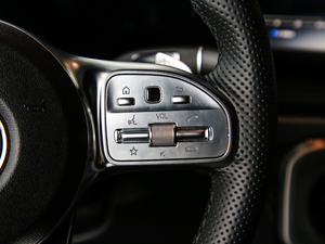 2019Ŀ G 500 п؅^(q)