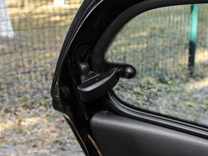 2017BRABUS Xclusive g