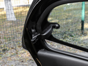 2017BRABUS Xclusive g