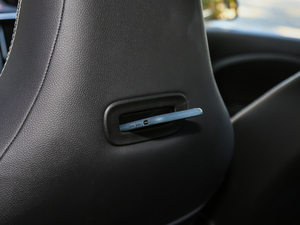 2017BRABUS Xclusive g