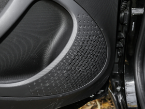 2017BRABUS Xclusive g