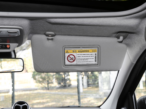 2017BRABUS Xclusive g