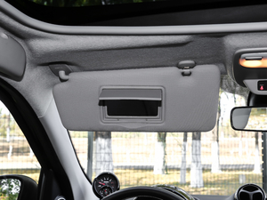 2017BRABUS Xclusive g