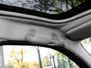 2017BRABUS Xclusive g