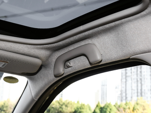 2017BRABUS Xclusive g